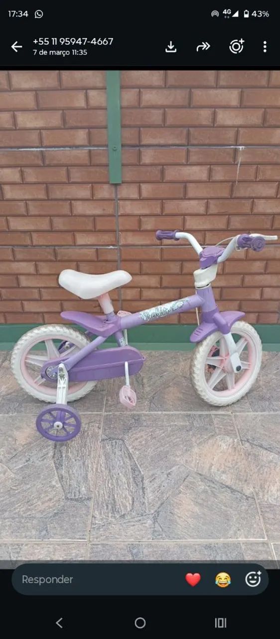 Bicicleta 
