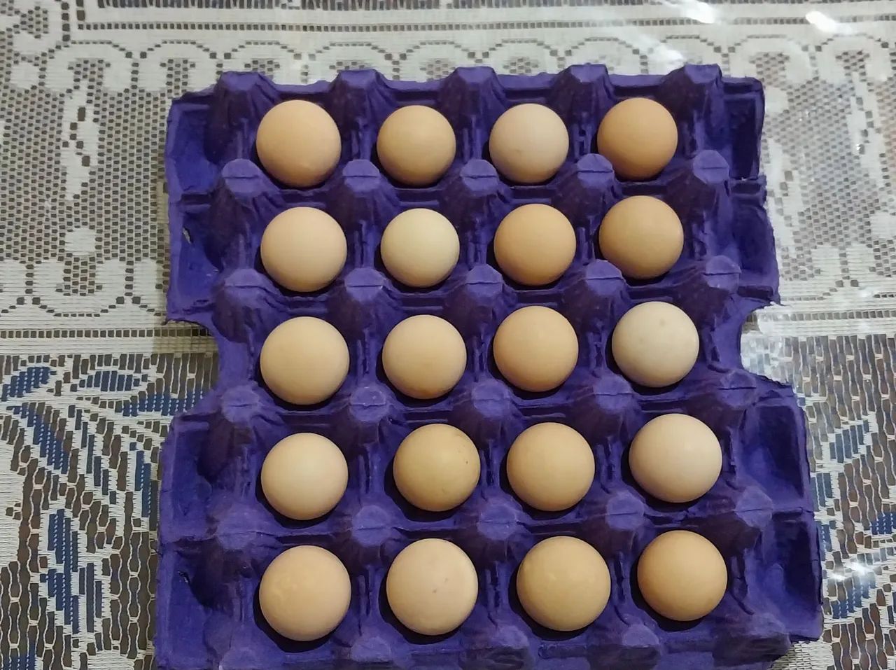 Ovos de angolas  - Foto 2