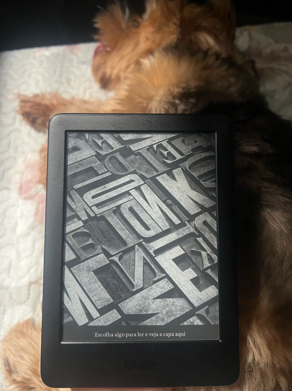 Kindle 10ª Geração - 8 GB | Excelente Estado