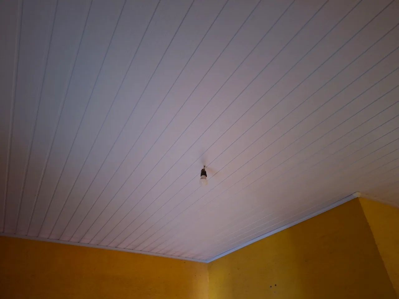 Wl forro pvc  - Foto 4