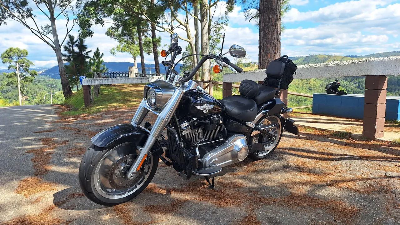 Fat Boy harley-davidson  - Foto 2