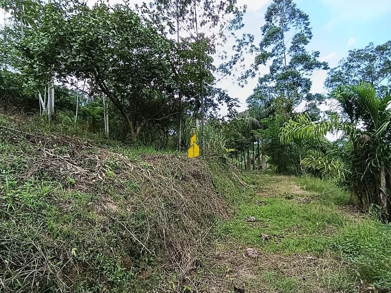 SÍTIO À VENDA EM SÃO BERNARDO  Rio dos Cedros - Foto 5