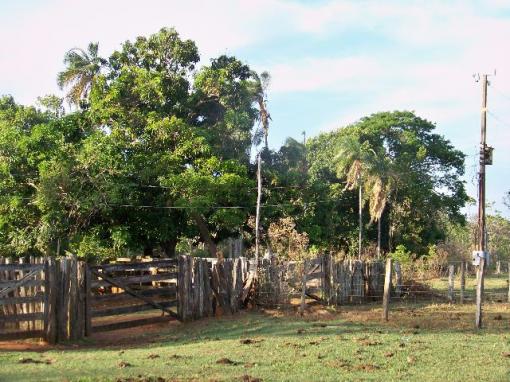 Chácara Aragoiânia, 14,65 alqueires, (71,71 hectares), - Foto 7
