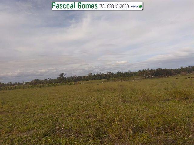 95 % Plana, Prado, Bahia - Foto 12