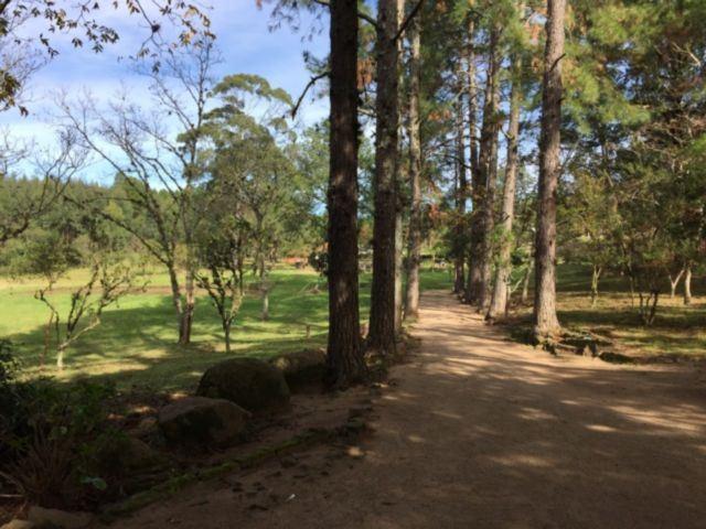 Terreno - Foto 2