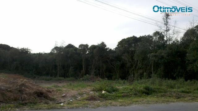 Área comercial à venda, itália, são josé dos pinhais - ar0003. - Foto 2