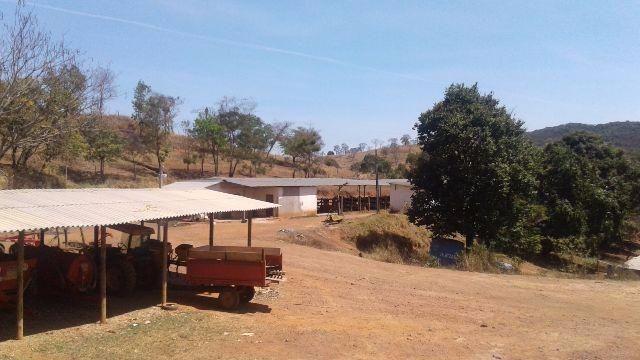 Fazenda 80 Ha Pitangui - Foto 12