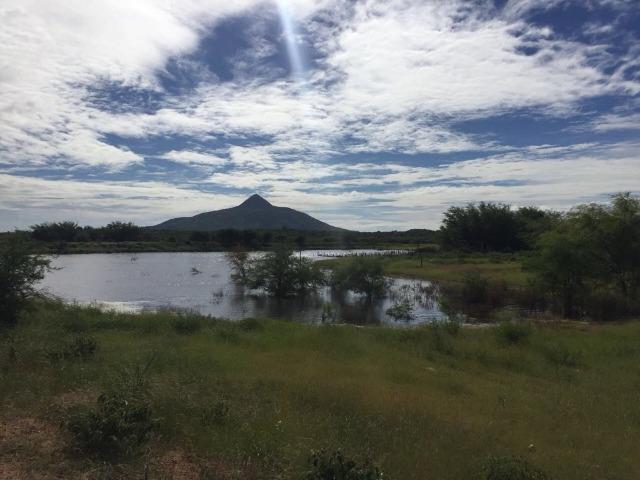 Fazenda Fernando Pedrosa, 489 Hectares, Escriturada, 7km Rio Pajeú, Açude, Casa Sede - Foto 6