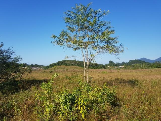 Área industrial de frente para a BR101 em Pirabeiraba - Foto 16