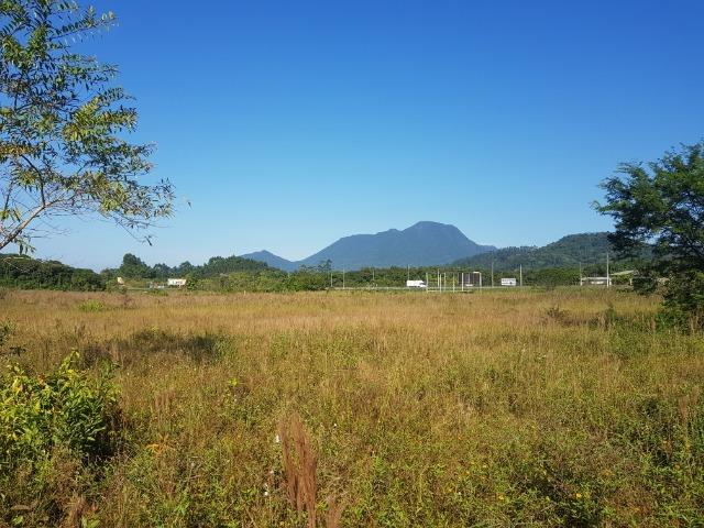 Área industrial de frente para a BR101 em Pirabeiraba - Foto 10
