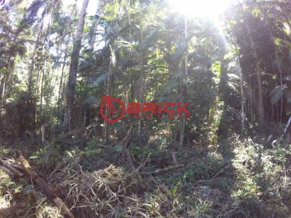 Terreno com aproximadamente 1000 m² na prata, teresópolis/rj - Foto 7