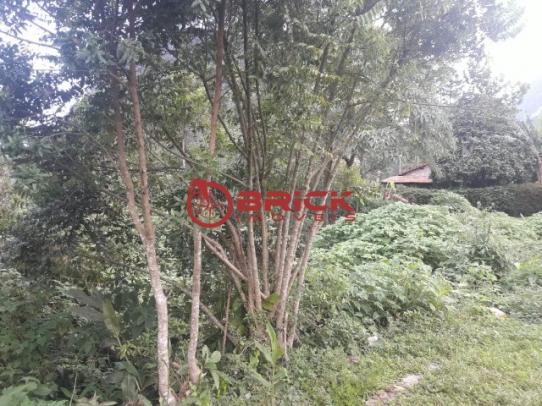 Terreno com mais de 3.000 m² no alto, teresópolis/rj - Foto 8