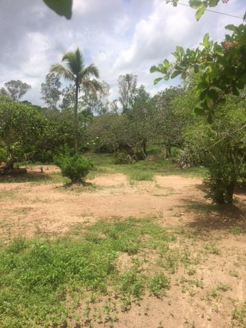 Fazenda-Granja-Sítio-Chácara 12 Hectares Aliança, Aceito Imóvel ou Automóvel - Foto 9