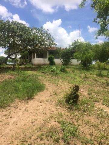Fazenda-Granja-Sítio-Chácara 12 Hectares Aliança, Aceito Imóvel ou Automóvel