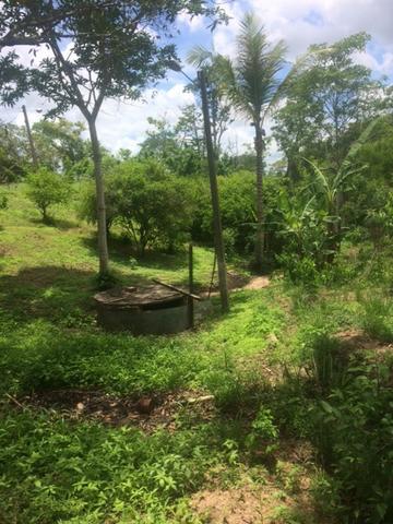 Fazenda-Granja-Sítio-Chácara 12 Hectares Aliança, Aceito Imóvel ou Automóvel - Foto 4