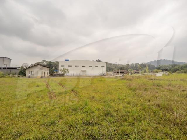 Terreno com aproximadamente 2.500 m², no bairro badenfurt . - Foto 11