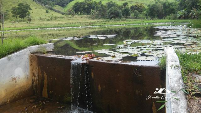 Jordão corretores - Fazendinha leiteira Cachoeiras de Macacu - Foto 9