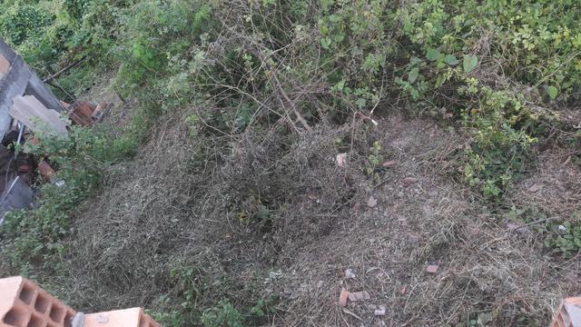 (Vendo) -Local- (Najé) - Foto 2