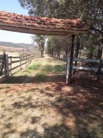 8062 | Chácara à venda em Chácara Marrom, Astorga - Foto 6