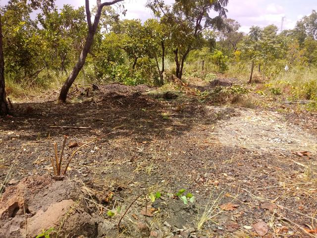 Terreno - Foto 4