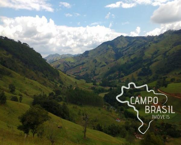 Oportunidade rural! Sítio de 8,5 alqueires todo aproveitável! - Foto 9