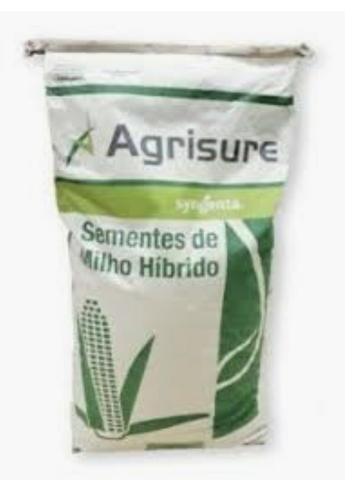 Semente de milho Feroz