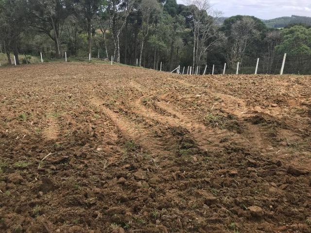 Oportunidade Sítio em Mandirituba - Foto 17