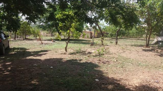 Vendo uma linda chácara corumbá 4 - Foto 8