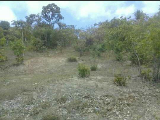 Terreno Itamaracá