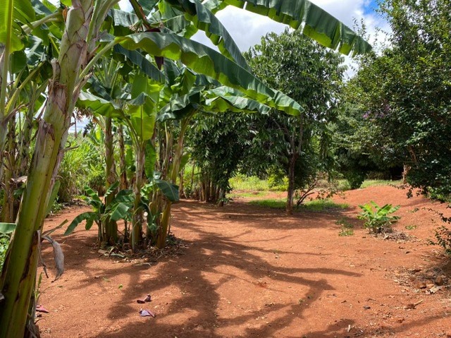 Fazenda 17 ha, riacho nos fundos, lagoa de peixes água por gravidade no quintal, Serra do  - Foto 2