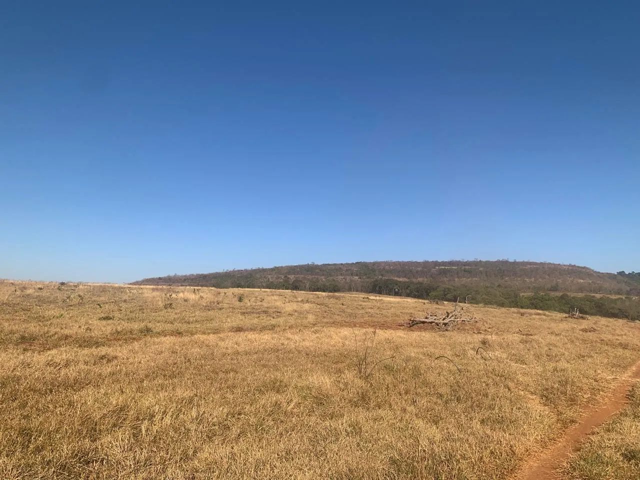 Fazenda em campina verde  - Foto 5