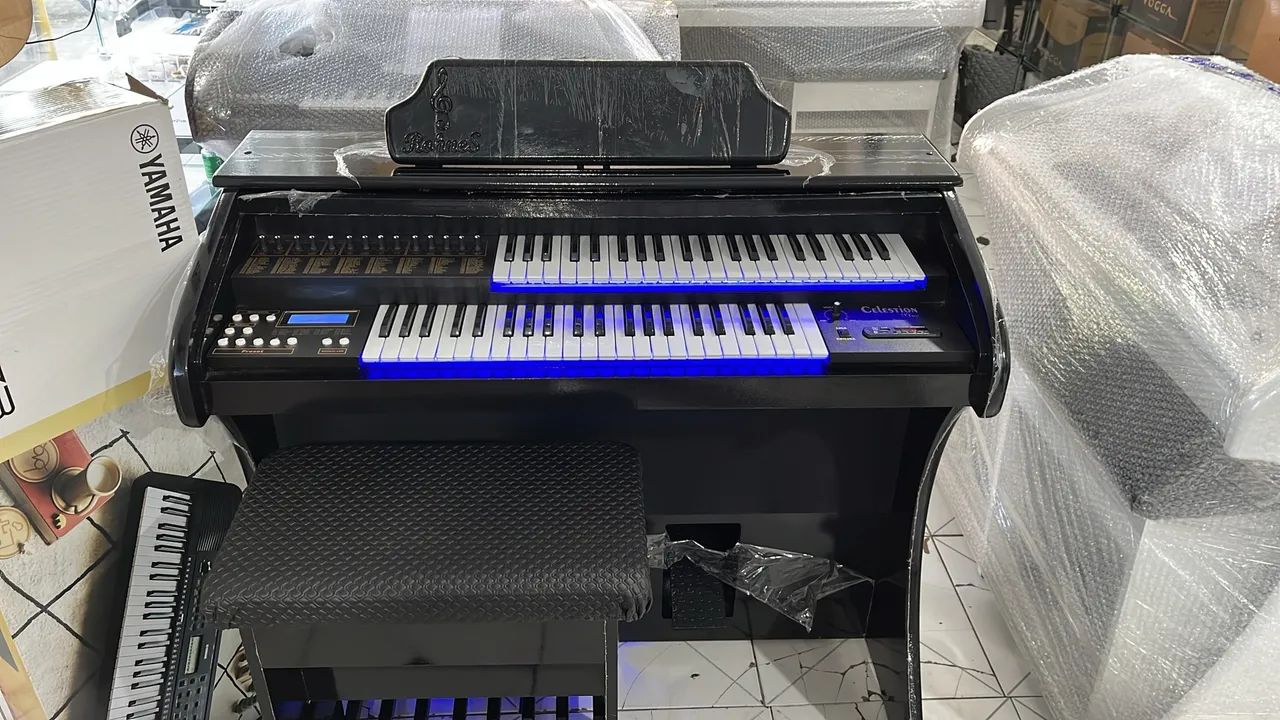 Órgão Eletrônico Rohnes Celestion Plus