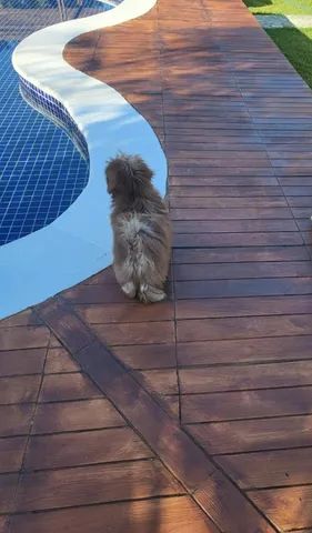 Piso Deck Cimentício Antiderrapante 50x50 Marrom - Foto 3