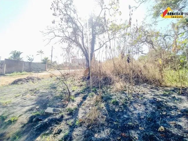 Lote à venda, Santos Dumont - Divinópolis/MG - Foto 4