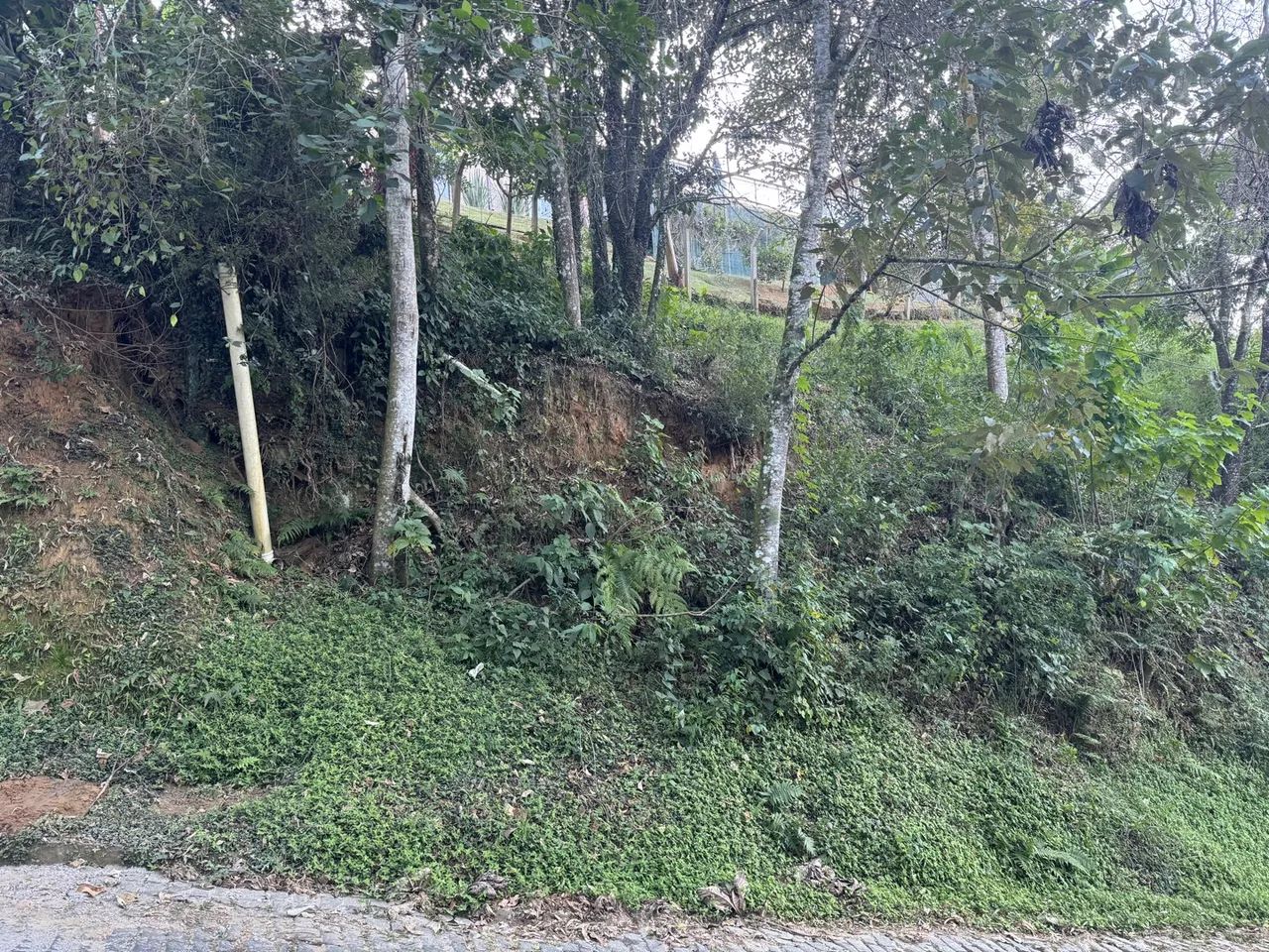 Maravilhoso terreno Pedra do Imperador - Foto 2