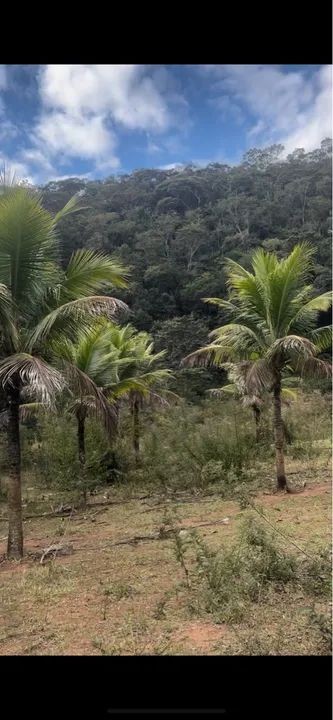 Fazenda 10 alqueires na Lajinha a 17km de Teófilo Otoni MG - Foto 4