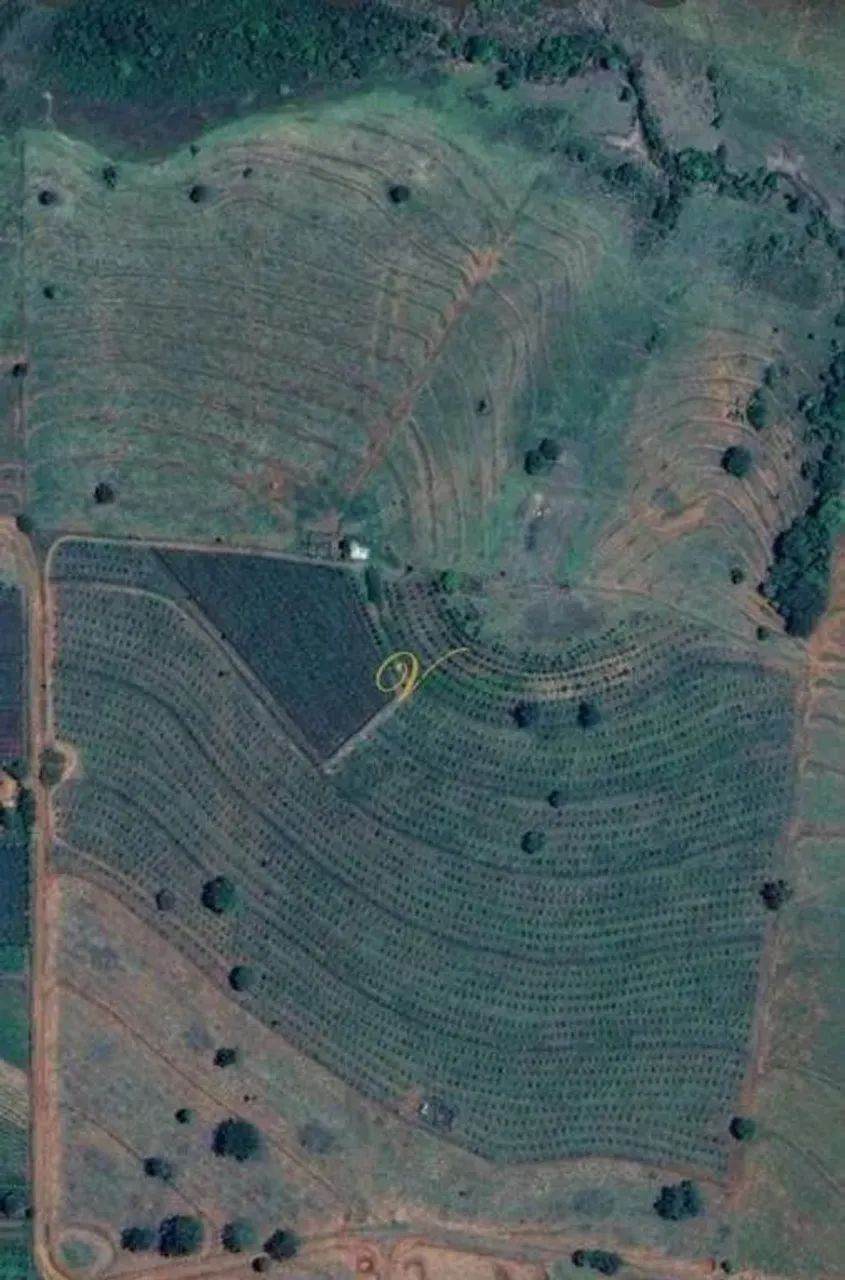 Fazenda com 3 dormitórios à venda, 377520 m² por R$ 3.600.000,00 - Rural - Palmeira d`Oest - Foto 3