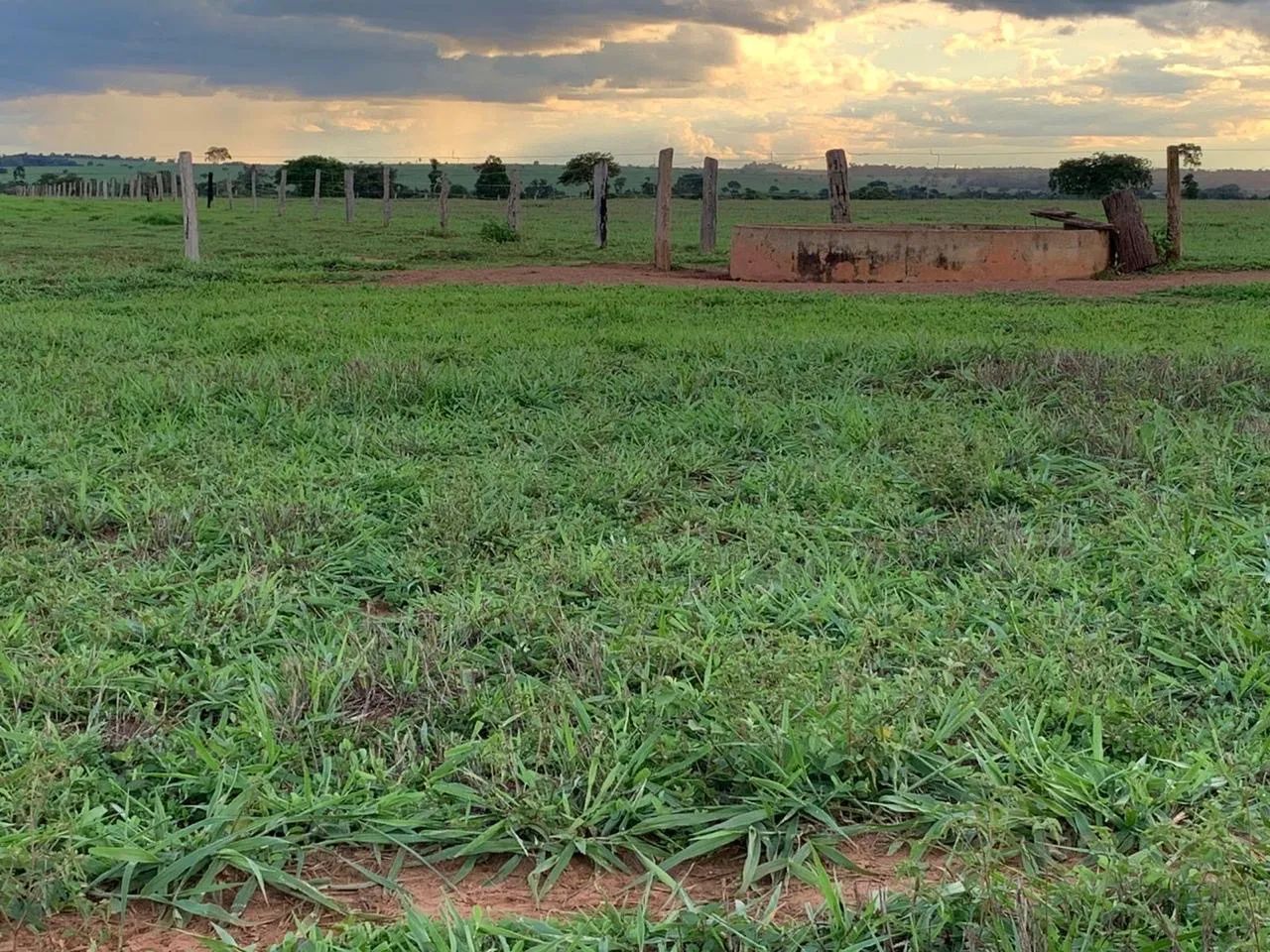 Fazenda 404 ha em Gaúcha do Norte-MT - Foto 3