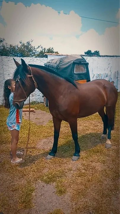 Egua linda e boa ! - Foto 3
