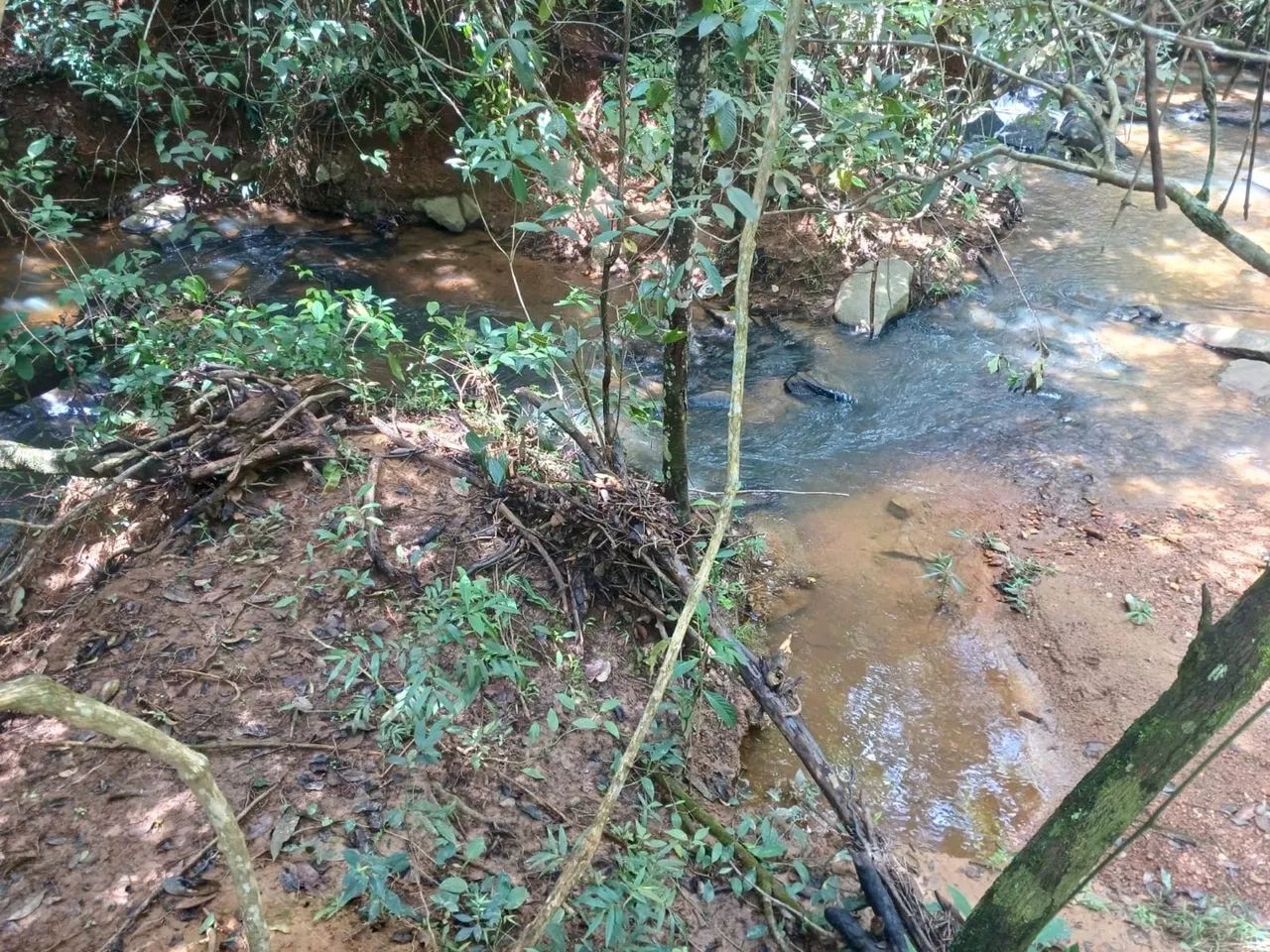 Chácara em gameleira de goias 10.000 metros - Foto 8