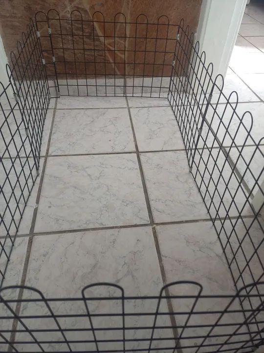 Cercado cercadinho pet - Foto 5