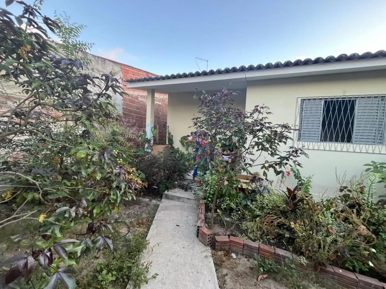 Foto - Natal - Pitimbu