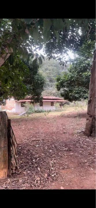 Fazenda 10 alqueires na Lajinha a 17km de Teófilo Otoni MG