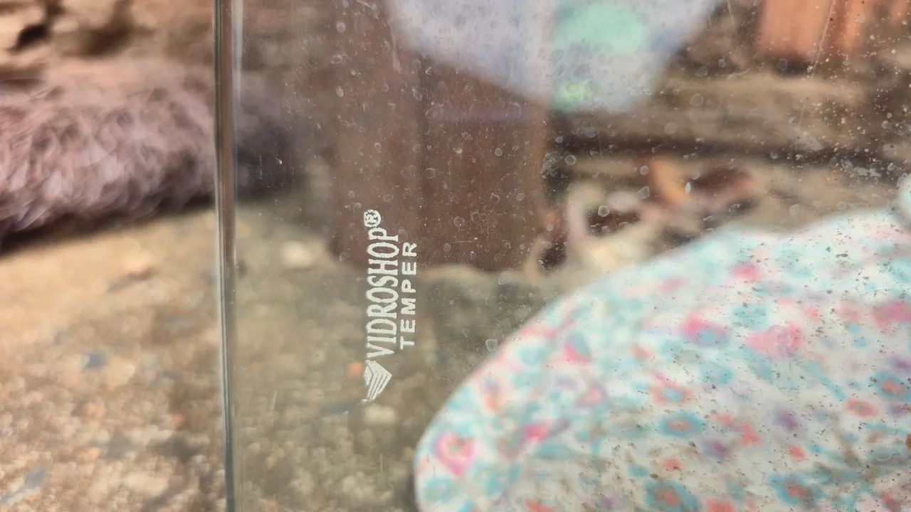 VIDRO TEMPERADO 64418994857347123