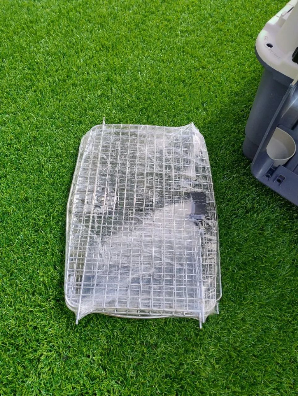 Caixa de Transporte para Cães e Gatos Gomoov G - Foto 5