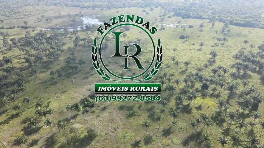Fazenda 39 Alqueires Tocantins Região Araguaina - Foto 5