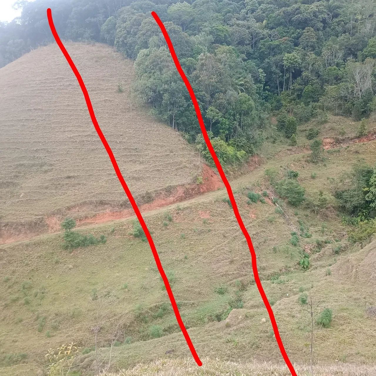 Tereno em Águas Mornas Rio Miguel  - Foto 2