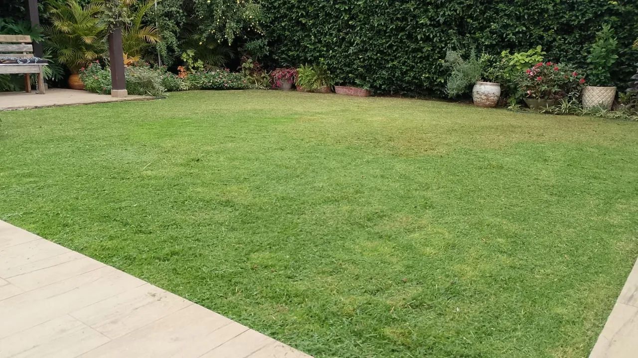 Serviço de jardinagem  - Foto 2