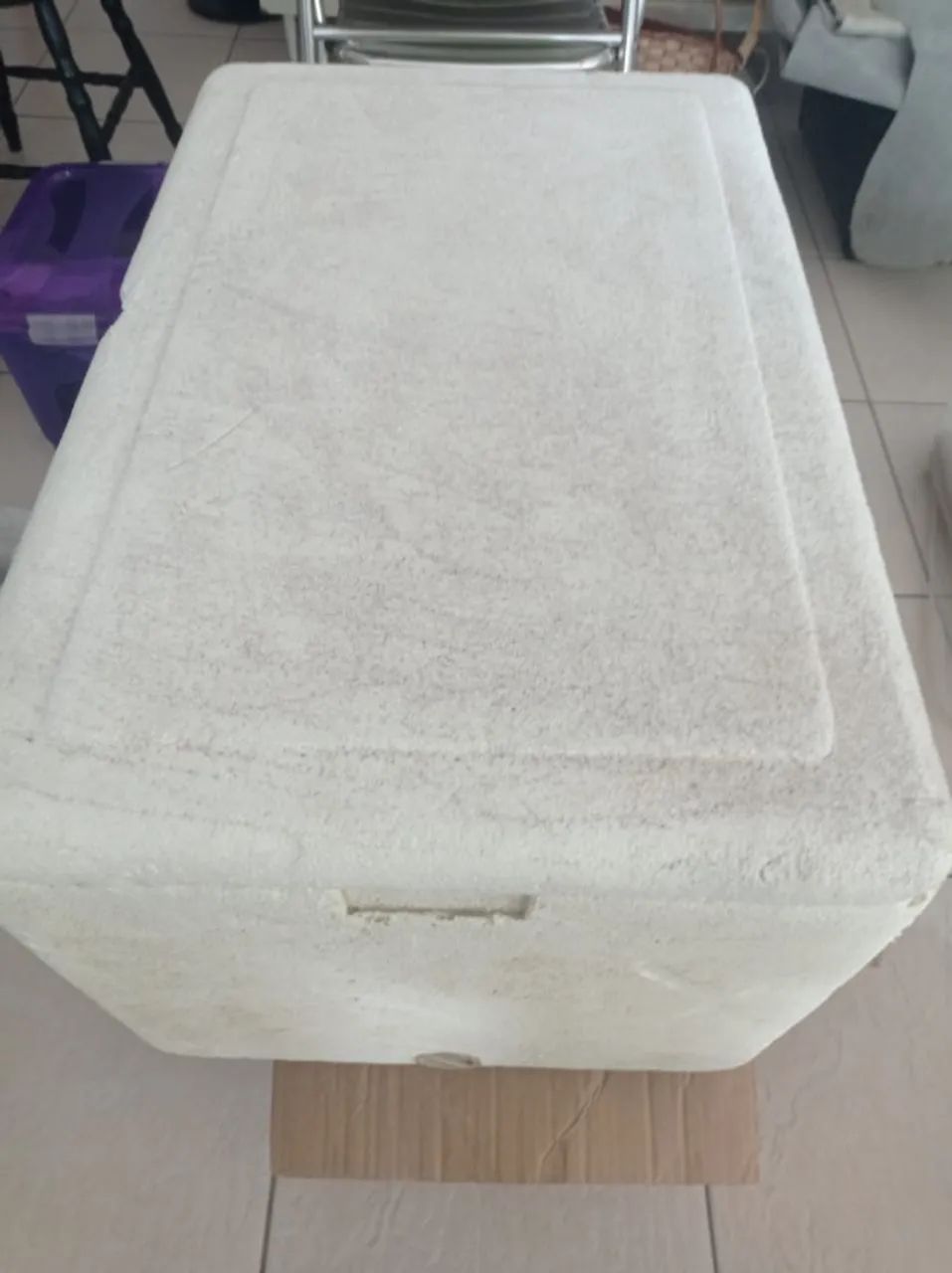 Caixa de isopor em bom estado (0,34m X 0,44m X 0,67m = 100L)