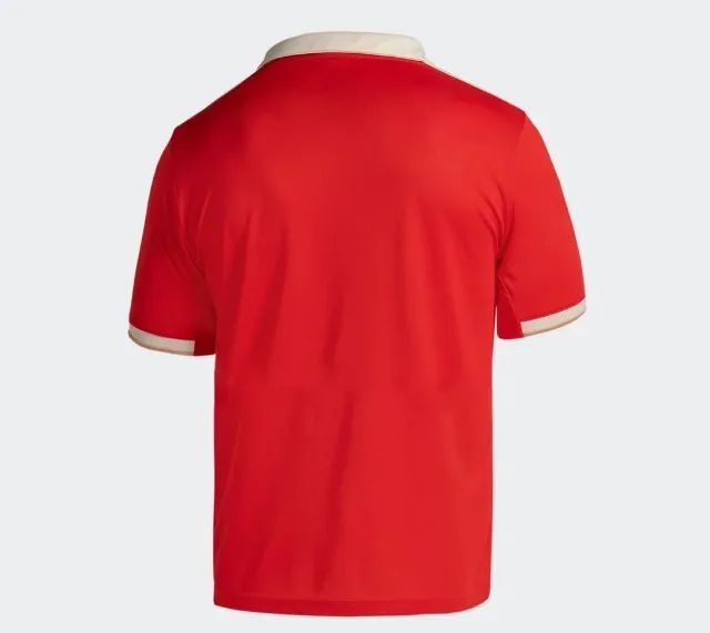 Camisa Internacional 12 Anos Torcedor adidas Banrisul - Foto 3